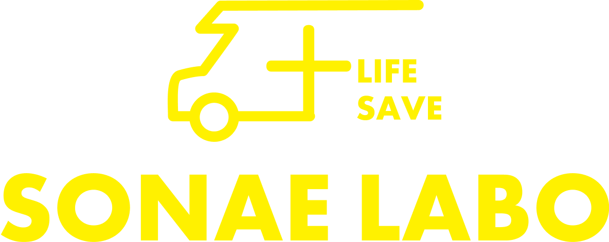 SONAE LAVO