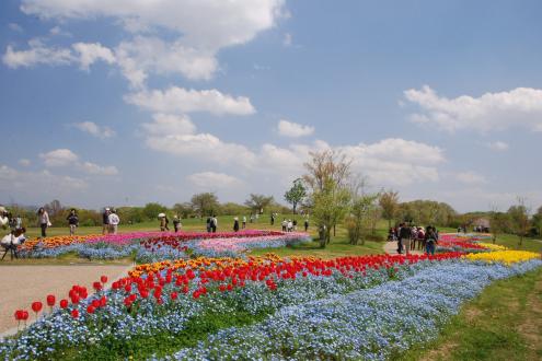 2021年4月24日・25日「奈良県・馬見丘陵公園 春のキャンピングカーショー」に参加します！