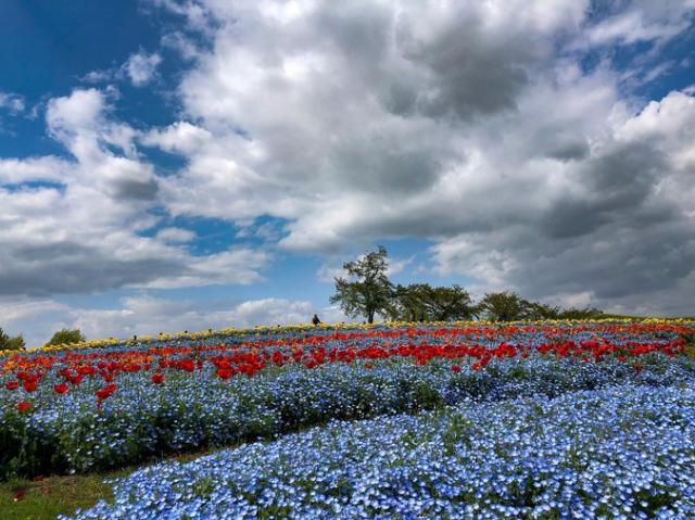 2021年4月24日・25日「奈良県・馬見丘陵公園 春のキャンピングカーショー」に参加します!