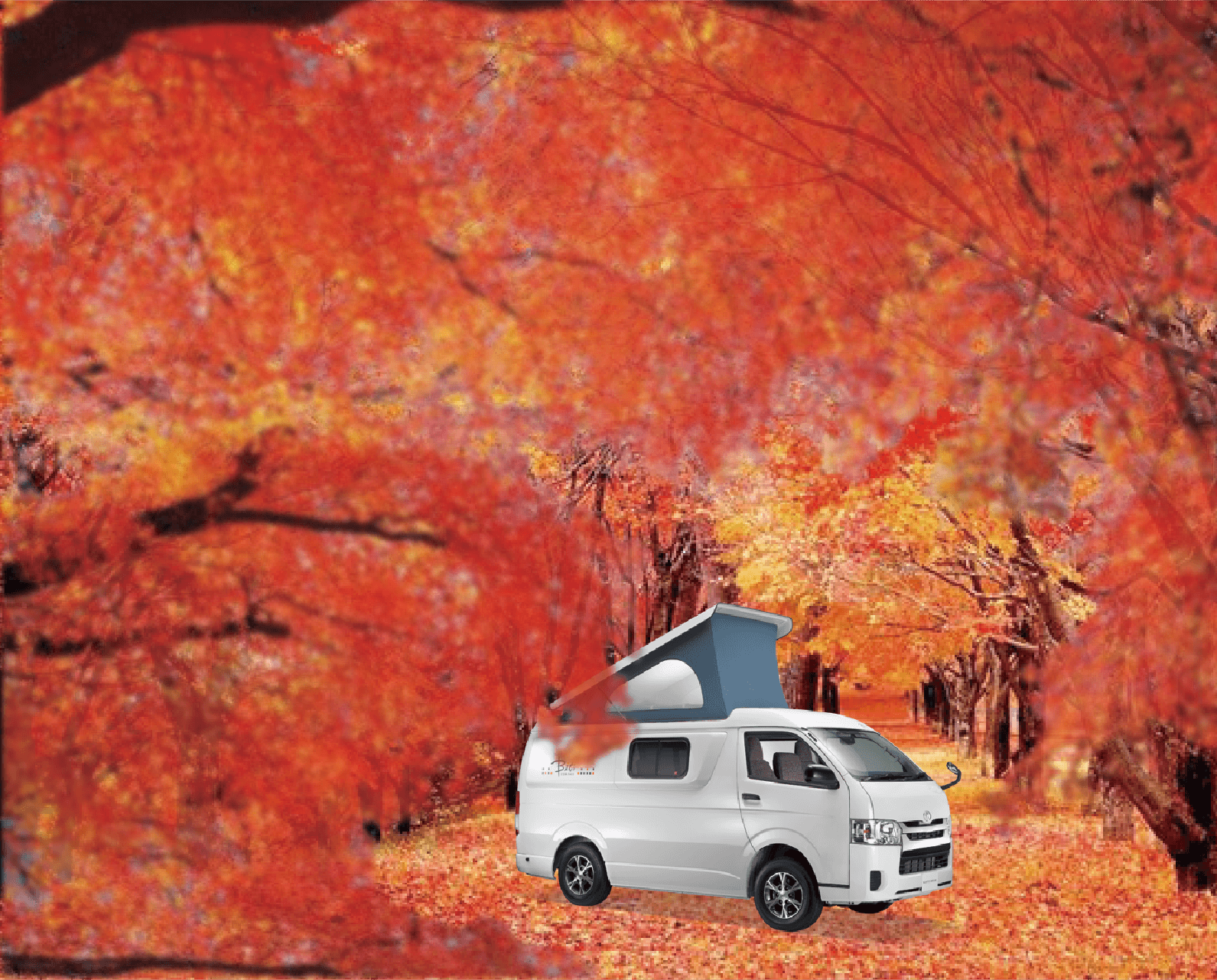 紅葉の季節のクルマ旅にとっておきの場所とは⁉︎CAMPER NEWS 11月号